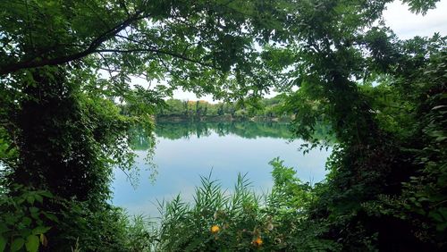 Scenic view of lake in forest against sky