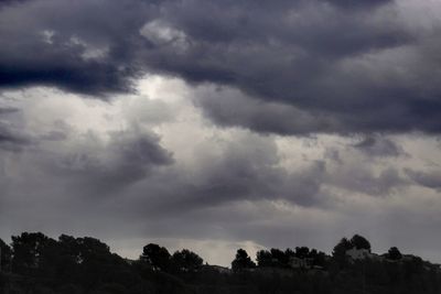 Low angle view of trees against cloudy sky