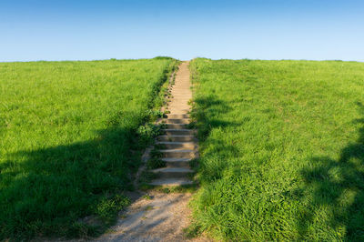 Steps passing through field