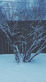 Bare trees on snow covered landscape