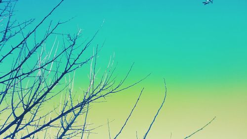 Low angle view of plant against blue sky