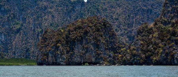 Scenic view of sea against trees