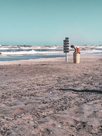 Rear view of person on beach against clear sky