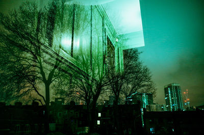 Low angle view of illuminated trees at night