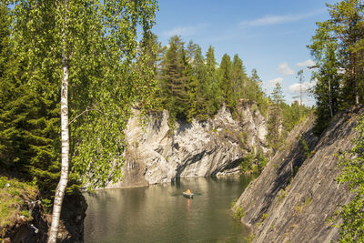 Scenic view of river amidst trees against sky