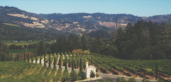 Scenic view of mountains