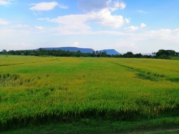 Scenic view of field against sky