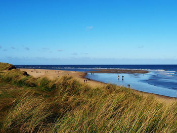 Scenic view of beach against blue sky