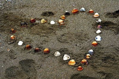 Close-up of sand on beach with a drawing of a heart made of shells