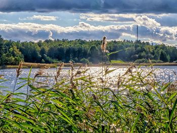 Scenic view of lake against cloudy sky