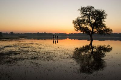 Silhouette tree by lake against sky during sunset