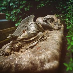 Close-up of statue