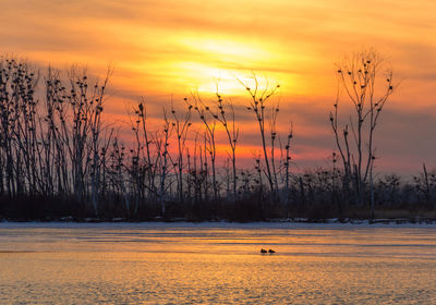 Scenic view of field against sky during sunset