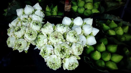 Close-up of flower for sale in market