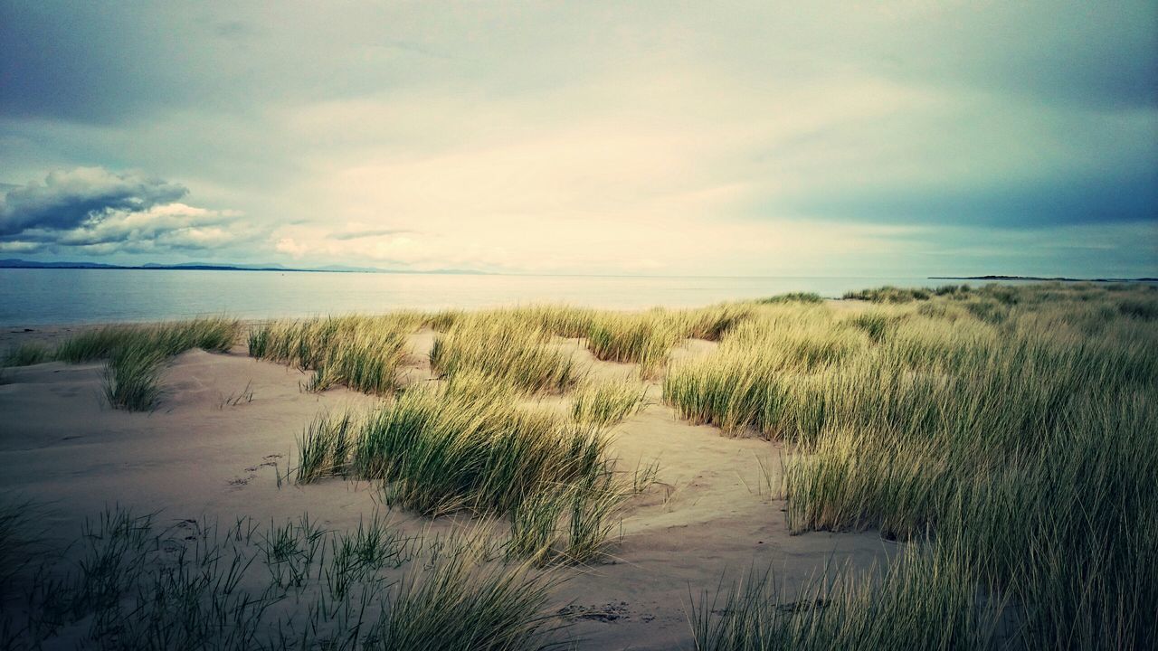 sky, tranquil scene, water, tranquility, scenics, sea, cloud - sky, beauty in nature, horizon over water, beach, nature, grass, cloud, cloudy, plant, shore, idyllic, growth, landscape, sand