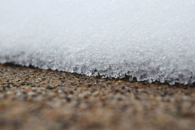 Close-up of snow on water