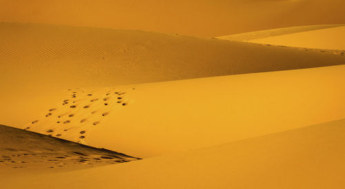 Full frame shot of sand