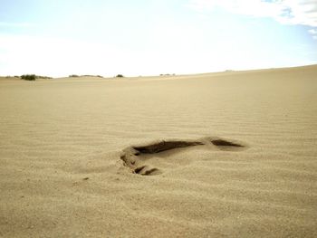 Scenic view of sand dunes against sky