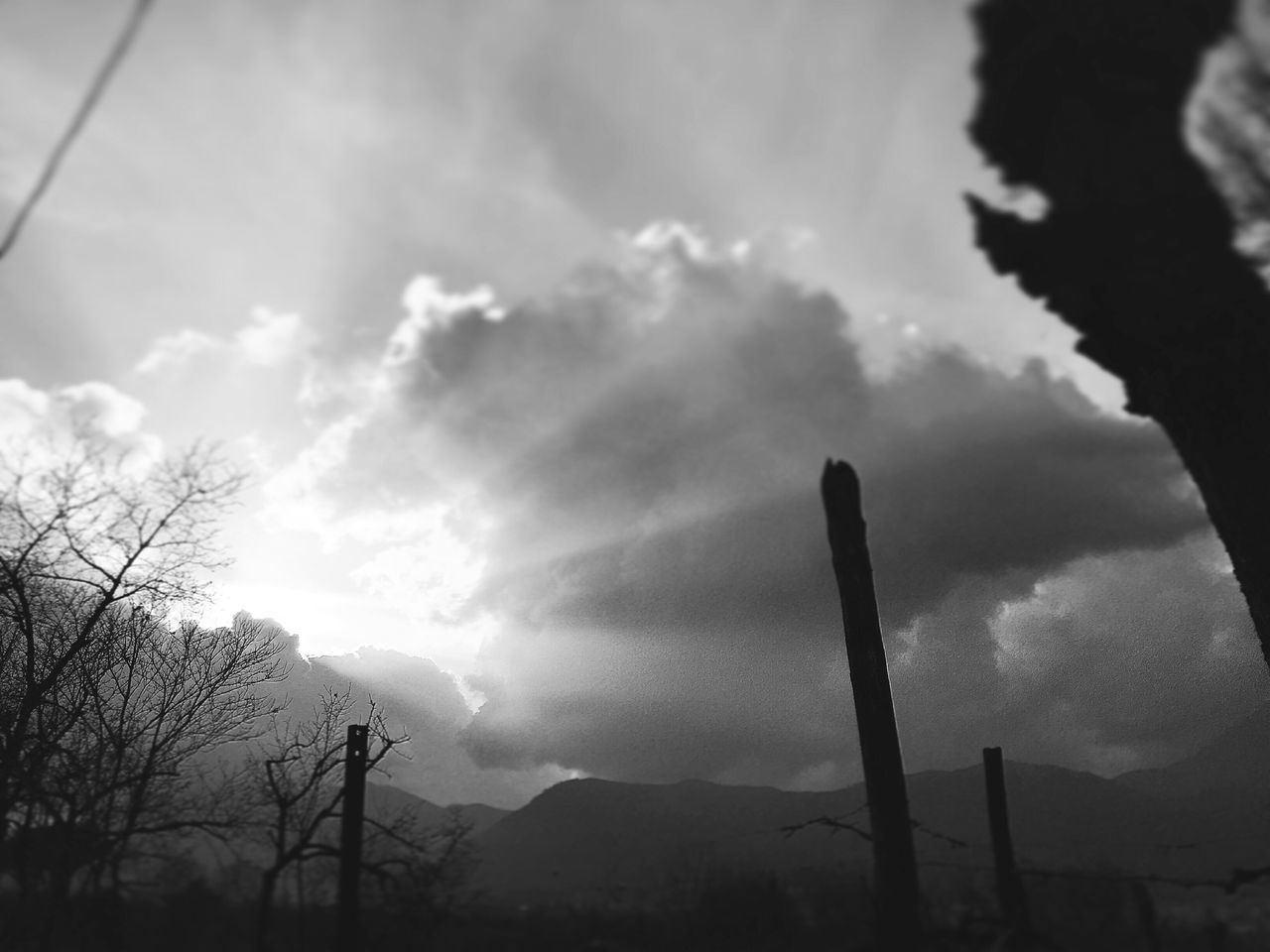 sky, silhouette, cloud - sky, tranquility, low angle view, tranquil scene, nature, tree, beauty in nature, cloudy, scenics, cloud, landscape, mountain, non-urban scene, outdoors, no people, sunlight, day, idyllic