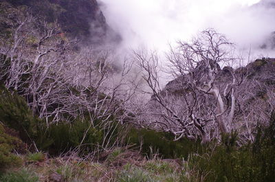 Scenic view of land against sky