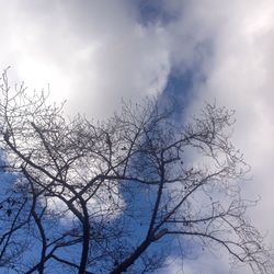 Low angle view of bare tree against sky