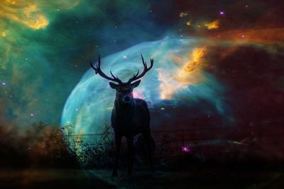 Digital composite image of deer