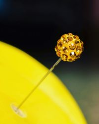 Close-up of yellow paper