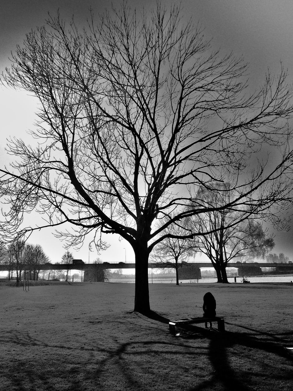 bare tree, real people, silhouette, tree, nature, leisure activity, branch, outdoors, two people, sky, lifestyles, men, water, winter, women, sitting, sea, beauty in nature, togetherness, scenics, full length, day, people