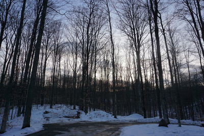 Bare trees on snow covered land against sky