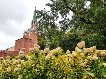 Low angle view of trees and building against sky