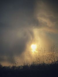 Low angle view of silhouette trees against sky during sunset