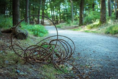 Close-up of bicycle in forest