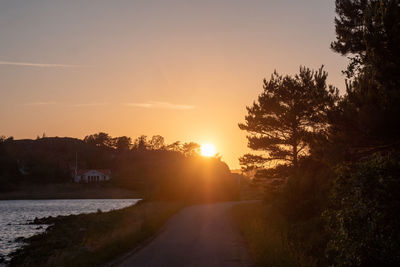 Road amidst trees against sky during sunset