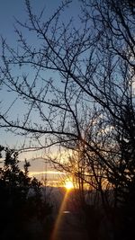 Silhouette trees against sky during sunset