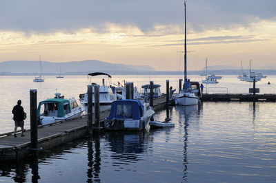 Sailboats moored in harbor at sunset