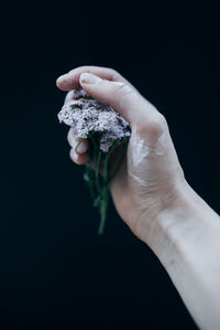 Close-up of hand holding leaf against black background