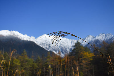 Scenic view of mountains against clear blue sky