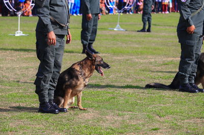 Low section of people with dog on field