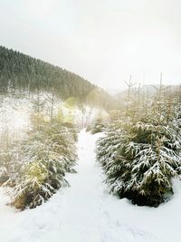 Scenic view of snow covered field against sky
