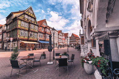 Potted plants on sidewalk cafe by buildings in city