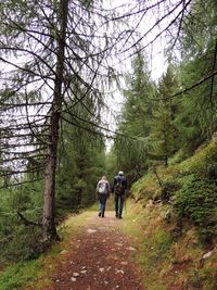 Rear view of friends walking on footpath in forest