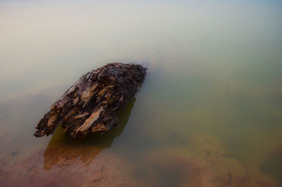 Close-up of rock in lake against sky