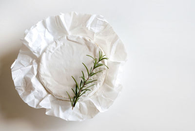 High angle view of white rose against gray background