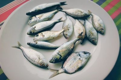 Close-up of fish in plate