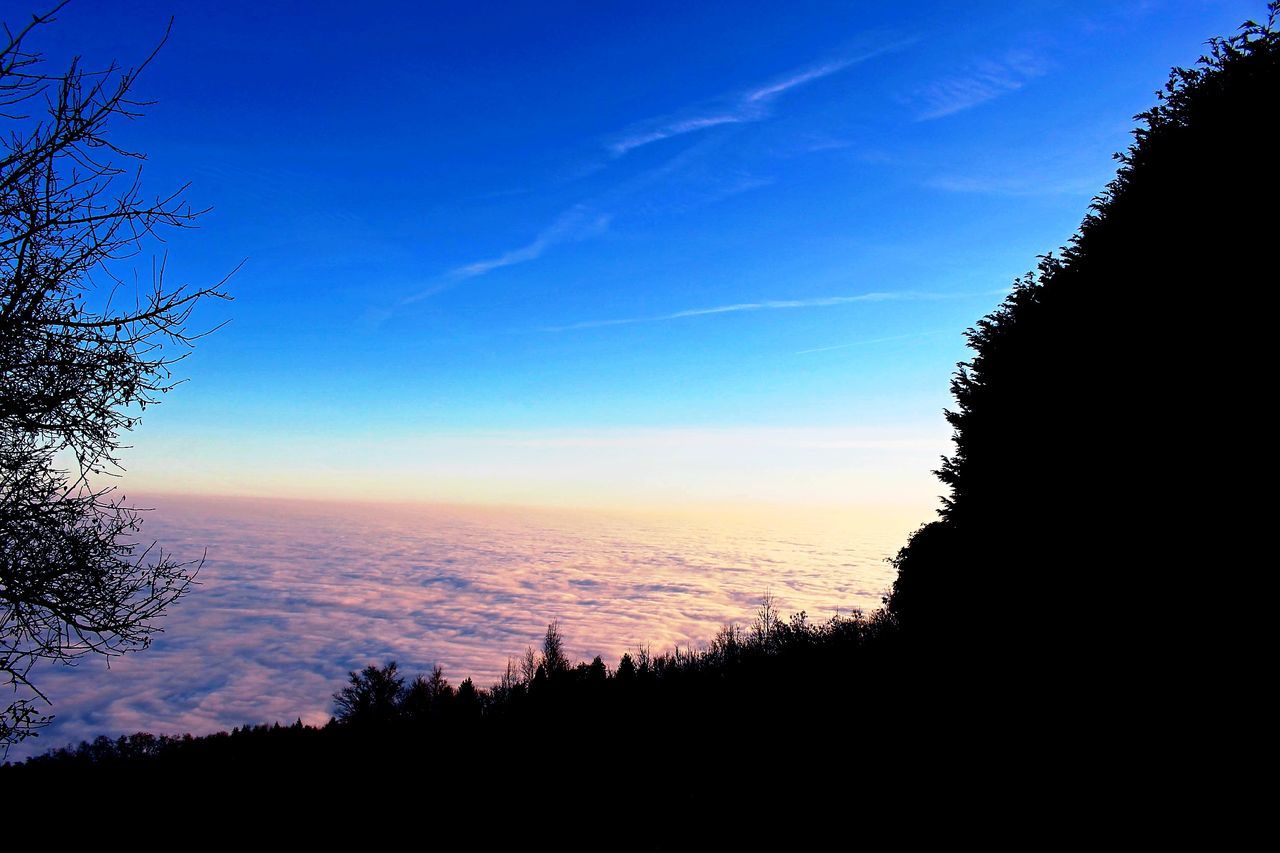 silhouette, sky, scenics, sunset, tranquil scene, tranquility, beauty in nature, blue, nature, tree, landscape, dusk, idyllic, cloud, cloud - sky, outline, outdoors, low angle view, no people, dark