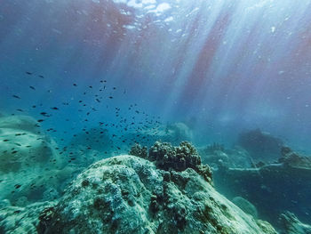 View of sea underwater