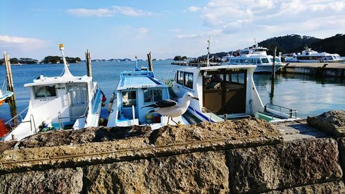 Boats moored at harbor against sky