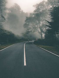 Empty road along trees and plants