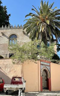 Palm trees and buildings against clear sky