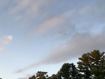 Low angle view of trees against cloudy sky